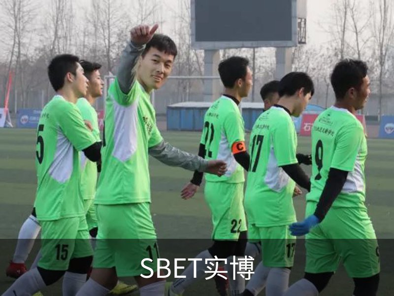 关于SBET实博